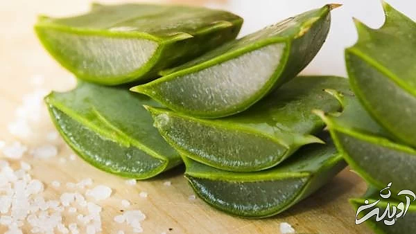 طریقه مصرف آلوئه ورا برای پوست ژل آلوئه ورا